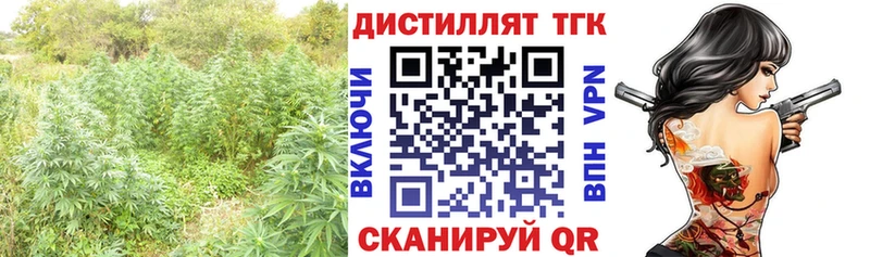 дарнет шоп  Архангельск  МЕГА   Дистиллят ТГК вейп с тгк 